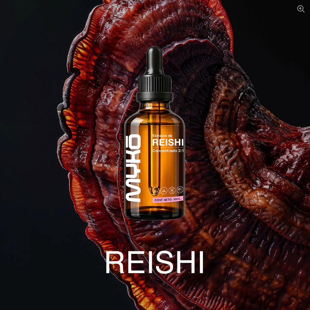 Extracto de Reishi | Hongo Adaptógeno para el Estrés, el Sueño y el Bienestar